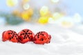 Christmas jingle bells on snowy background and defocused lights Royalty Free Stock Photo