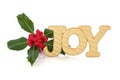 Christmas Joy Royalty Free Stock Photo