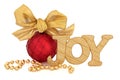 Christmas Joy Royalty Free Stock Photo