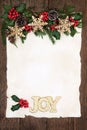 Christmas Joy Royalty Free Stock Photo