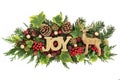 Christmas Joy Decoration Royalty Free Stock Photo