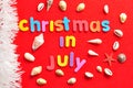 Christmas in July with a collection of shells and a string of white tinsel