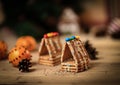 Christmas kitchen. background image cookies and oranges on the