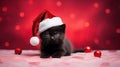 Christmas kitten. Black kitten in a Santa Claus hat on a festive background
