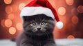 Christmas kitten. Black kitten in a Santa Claus hat on a festive background