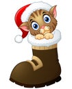 Christmas kitten in santa boots
