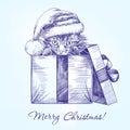 Christmas kitten in Santa stocking hat hand drawn