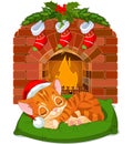 Christmas Kitten Sleeping near Fireplace