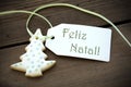 Christmas Label with Feliz Natal