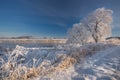 Christmas lace.Mostly calm winter river, surrounded by trees covered with hoarfrost and snow that falls on a beautiful morning lig Royalty Free Stock Photo