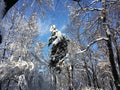 Christmas landscape in Bucharest