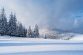 Christmas landscape with spruce in the mountains Royalty Free Stock Photo