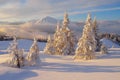 Christmas landscape in the mountains Royalty Free Stock Photo