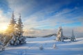 Christmas landscape Royalty Free Stock Photo