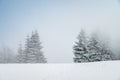 Christmas landscape. Winter nature, white edit space