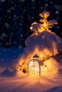 Christmas lantern under a Christmas tree in a snowy forest Royalty Free Stock Photo