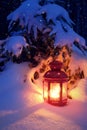 Christmas lantern in the woods under the tree. Lantern with a ca Royalty Free Stock Photo