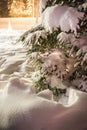 Christmas / Lapland /details / christmas mood /Finland / christmas time