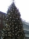 Christmas large tree
