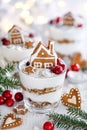 Christmas layered cream and gingerbread dessert decorated with gingerbread houses and candied cranberry in glasses on white table