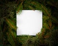 Christmas layout  made of fir tree branches with white note paper, copy space Royalty Free Stock Photo