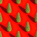 Christmas layout with natural green pine cone on red background. New Year holiday seamless pattern