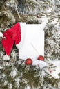 Christmas letter to the snow-covered park