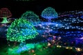 Christmas light decorations glowing mushrooms