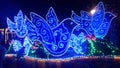 Christmas Light Display of Blue Birds Royalty Free Stock Photo