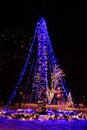 Christmas Light Festival Trees in Niagara Falls
