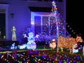 Christmas Light Menagerie Outside Suburban Luxury Home Royalty Free Stock Photo