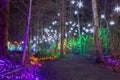 Christmas Lights Decoration along Lafarge Lake Path Royalty Free Stock Photo