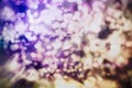 Christmas lights. Gold Holiday New year Abstract Glitter Defocused Background With Blinking Stars and sparks Royalty Free Stock Photo