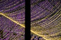 Christmas illumination, decoration of the roof of the shopping center. Lilac and yellow lights
