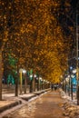 Christmas lights on Mackenzie Avenue during holidays, Ottawa, Ontario, Canada Royalty Free Stock Photo