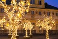 Trees decorated with lights. Golden trees. WilanÃÂ³w Palace in Warsaw