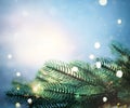 Christmas lights and pine branches and snow. Winter. Christmas. Blue festive winter background Royalty Free Stock Photo