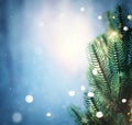 Christmas lights and pine branches and snow. Winter. Christmas. Blue festive winter background Royalty Free Stock Photo