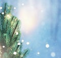 Christmas lights and pine branches and snow. Winter. Christmas. Blue festive winter background Royalty Free Stock Photo