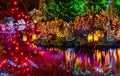 Christmas Lights Reflection Van Dusen Garden Vancouver British Columbia Canada