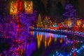 Christmas Lights Reflection Van Dusen Garden Vancouver British Columbia Canada