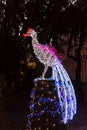 Christmas Lights in Salerno