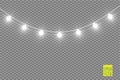 Christmas lights on transparent background. Xmas glowing garland. Vector illustration