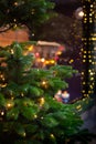 Christmas Lights and Trees Decorate a Shop Window Royalty Free Stock Photo