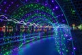 Christmas Lights in Tunnel at Lafarge Lake Royalty Free Stock Photo