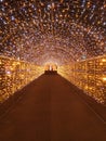 Christmas lights tunnel with alternating warm and white light, having a starry night effect Royalty Free Stock Photo