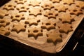 Christmas Linzer cookies in the oven Royalty Free Stock Photo