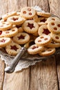 Christmas Linzer cookies stuffed with strawberry and apricot jam  close-up on the plate. Vertical Royalty Free Stock Photo