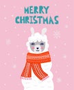 Christmas llama postcard. Winter white llama face in scarf on snowy pink background, merry xmas and happy new year lettering,