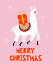 Christmas llama postcard. Winter white llama with present gift box on snowy pink background, merry xmas and happy new year